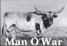 MAN O'WAR