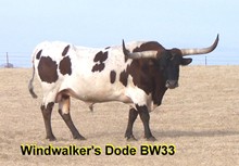 Windwalker's Dode BW 33