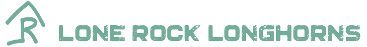 Lone Rock Longhorns Logo