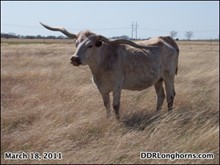 Delta Dora