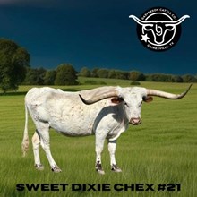 Sweet Dixie Chex
