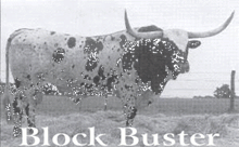BLOCK BUSTER
