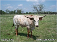 DDR Coolio's Rodeo 11