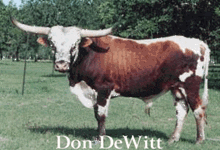 DON DEWITT