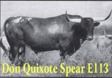 DON QUIXOTE SPEAR E 113