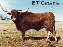ET CETERA