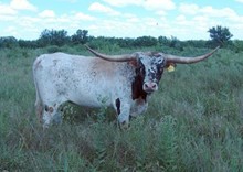 MALDARO EOT 2/7