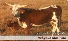 RubySue Mas Fina